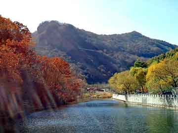 澳门二四六天天彩图库，经典都市异能小说